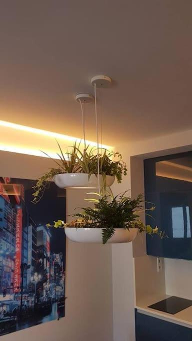 Apartamento Por Temporada Centro Diseno مدريد المظهر الخارجي الصورة